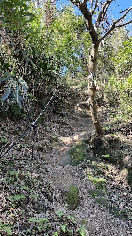 Longgang Trail: Half-Day Coastal Hike in Keelung 9 Trail to Mount Gangziliao