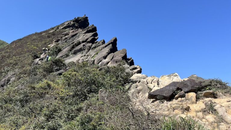 The Ultimate Hiking Guide to Stegosaurus Ridge (劍龍稜) – The King of Taiwan’s Suburban Mountains