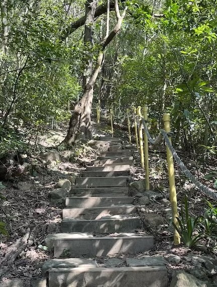 Jinmian Mountain: A Beginner-Friendly Rock Climbing Trail in Taipei 7 Trail of Jinmian Mountain