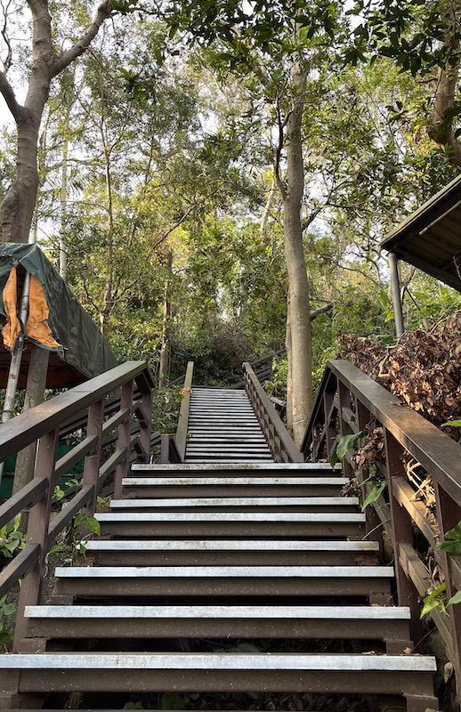 Jiantan Mountain Trail (劍潭山): A Short Urban Hike with City Views & Plane Spotting 9 Well-maintained trail of Jiantan Mountain