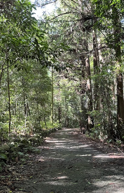 access road