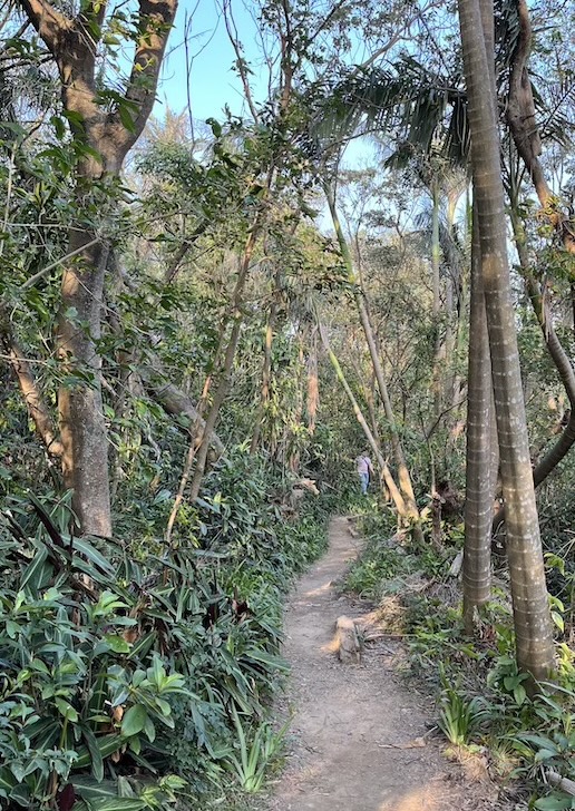 Jiantan Mountain Trail (劍潭山): A Short Urban Hike with City Views & Plane Spotting 11 Jiantan Mountain Trail