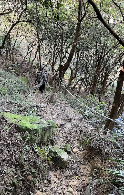 The Ultimate Hiking Guide to Stegosaurus Ridge (劍龍稜) – The King of Taiwan’s Suburban Mountains 17 on the way to Banping Creek
