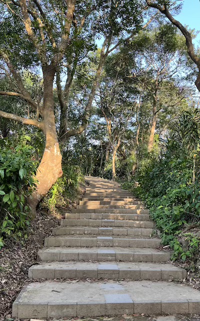 Jiantan Mountain Trail (劍潭山): A Short Urban Hike with City Views & Plane Spotting 13 Jiantan Mountain Trail