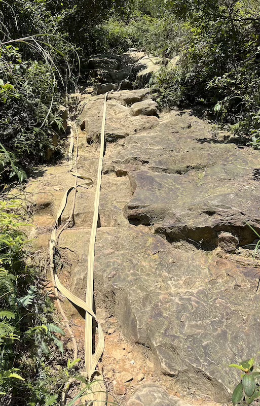 The Ultimate Hiking Guide to Stegosaurus Ridge (劍龍稜) – The King of Taiwan’s Suburban Mountains 22 rock wall