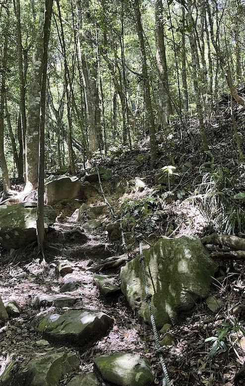 rope section