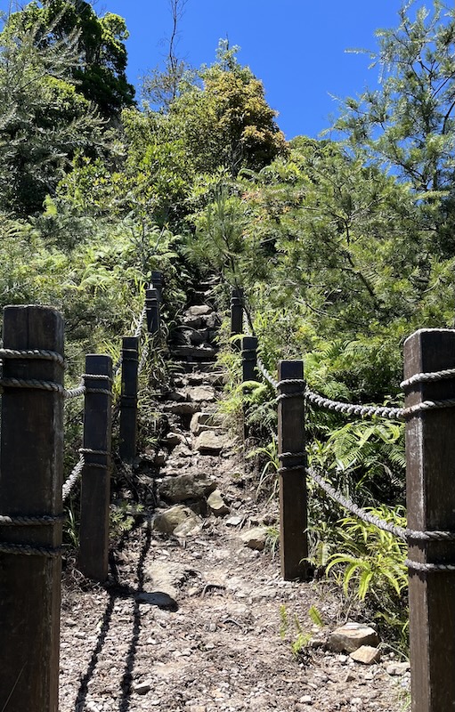 trail of Baimao Mountain