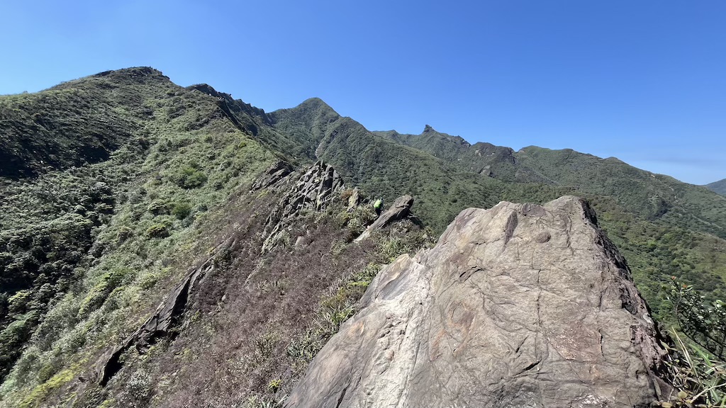 The Ultimate Hiking Guide to Stegosaurus Ridge (劍龍稜) – The King of Taiwan’s Suburban Mountains 27 Stegosaurus Ridge