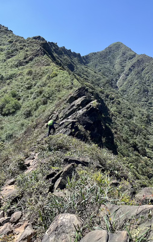 The Ultimate Hiking Guide to Stegosaurus Ridge (劍龍稜) – The King of Taiwan’s Suburban Mountains 28 Stegosaurus Ridge