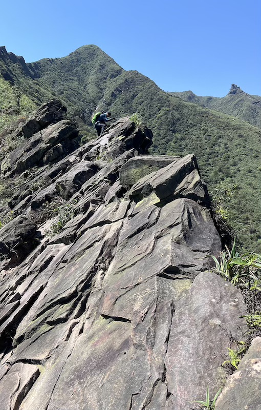 The Ultimate Hiking Guide to Stegosaurus Ridge (劍龍稜) – The King of Taiwan’s Suburban Mountains 29 Ridge line of Stegosaurus Ridge