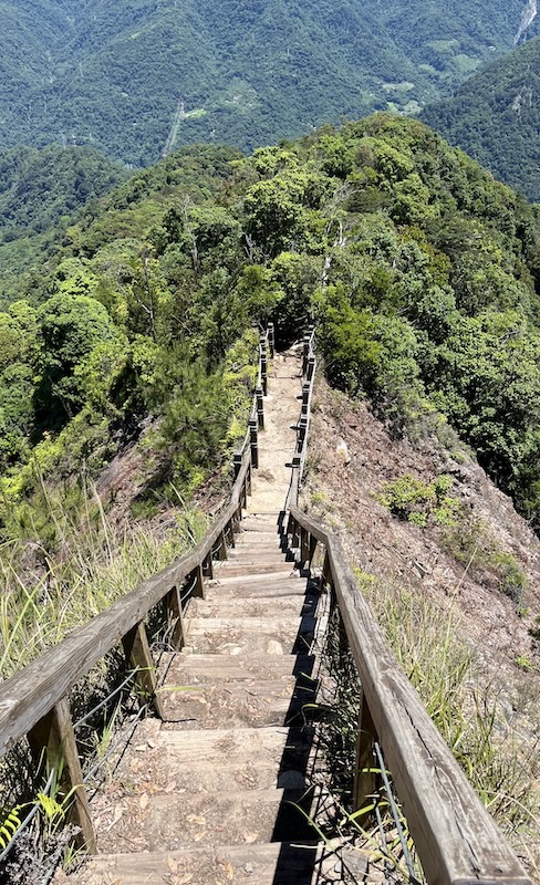 28 回程天梯