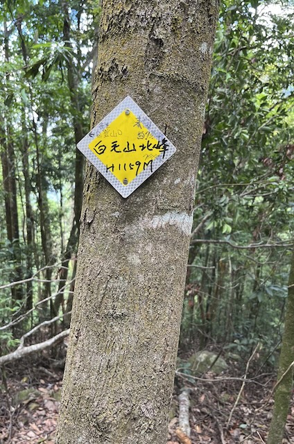 31 白毛山北峰