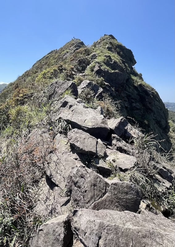 The Ultimate Hiking Guide to Stegosaurus Ridge (劍龍稜) – The King of Taiwan’s Suburban Mountains 38 narrow ridge