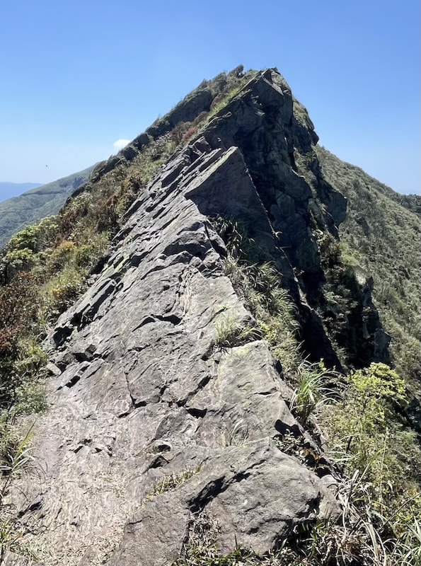 The Ultimate Hiking Guide to Stegosaurus Ridge (劍龍稜) – The King of Taiwan’s Suburban Mountains 39 Narrow ridge
