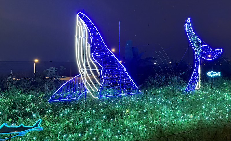 light installation 
