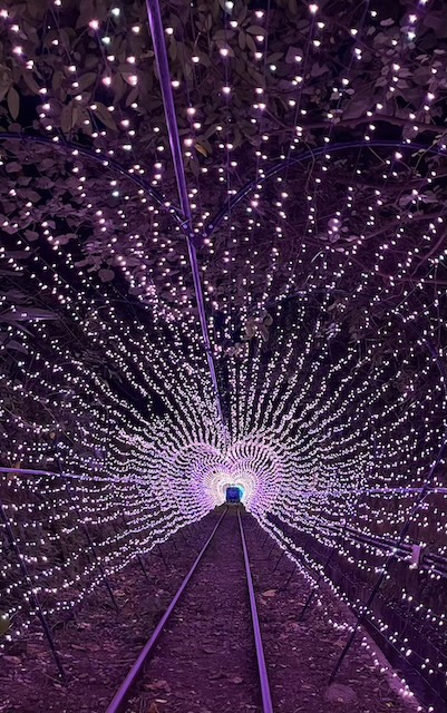 tunnel
