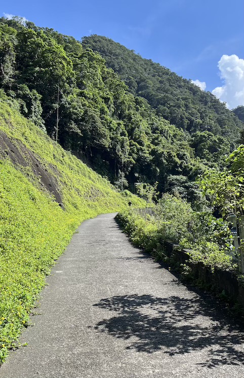 Matcha Mountai Trail