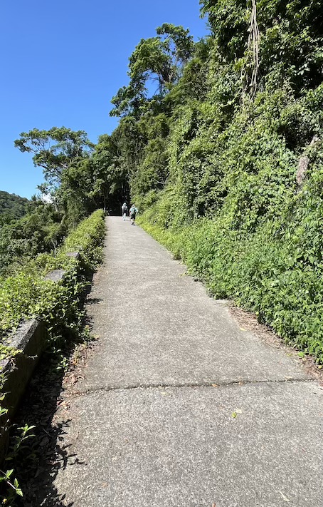 Matcha Mountai Trail