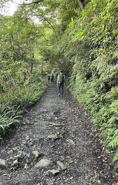 Matcha Mountain Trail