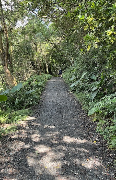 Matcha Mountain Trail