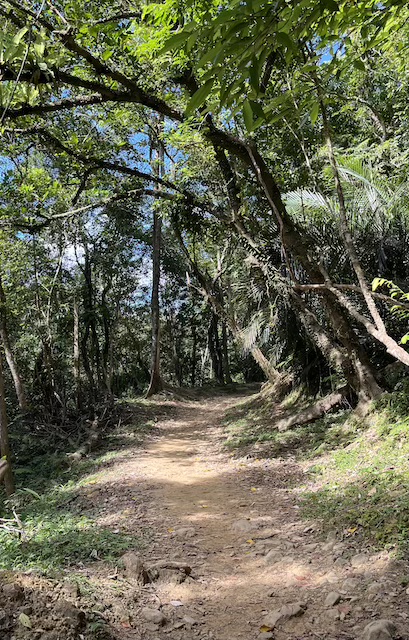 Sandiaoling Waterfall Trail
