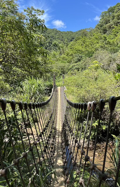 rope bridge