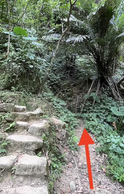 Path to Motian Waterfall