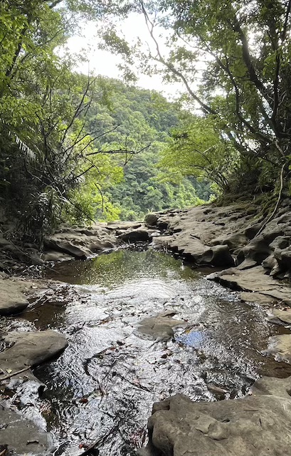 Pipa Cave Waterfall