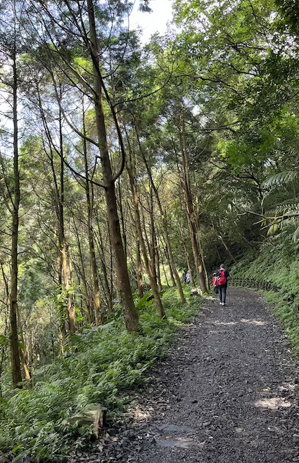Matcha Mountain Trail