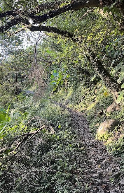 Keelung Mountain (基隆山): Short but Scenic Hike Overlooking Jiufen & the Pacific 21 Keelung Mountain trail
