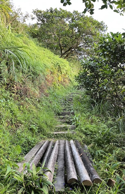 Keelung Mountain (基隆山): Short but Scenic Hike Overlooking Jiufen & the Pacific 23 Keelung Mountain trail