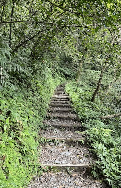 Matcha Mountain Trail