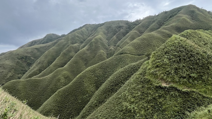 Matcha Mountain