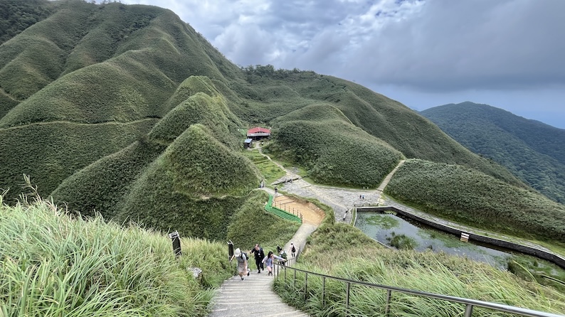 Matcha Mountain