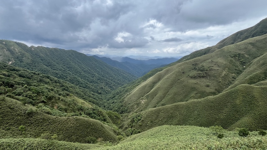 Matcha Mountain
