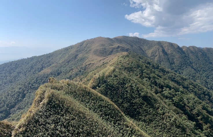 Matcha Mountain