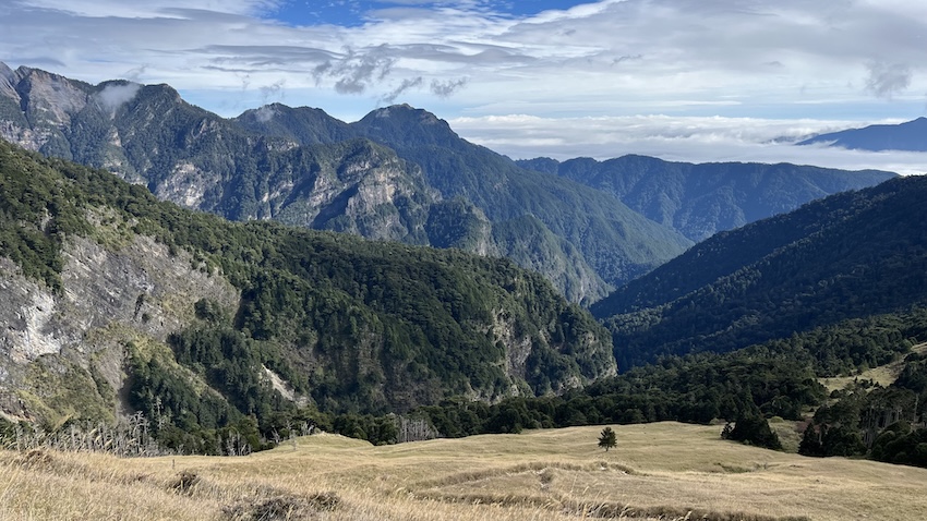 The Ultimate Xueshan (Snow Mountain) Hiking Guide: Permits, Transport & 1–3 Day Itineraries (2026 Edition) 4 Xueshan trail