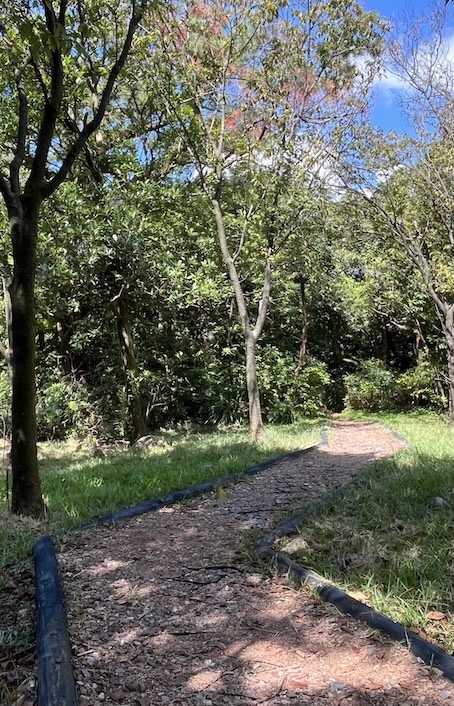 Yangmingshan Secret Hike: Ziming Creek Trail Hot Spring & "Milk" Waterfall 8 Ziming Creek Trail entrance