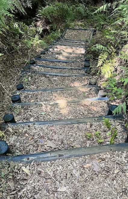 Yangmingshan Secret Hike: Ziming Creek Trail Hot Spring & "Milk" Waterfall 9 Ziming Creek Trail