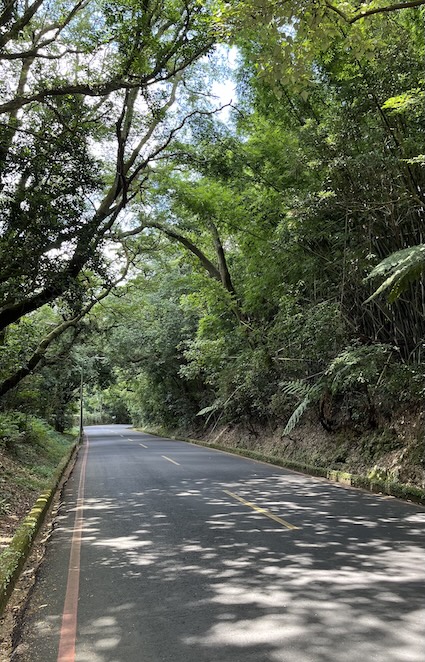 Yangmingshan Secret Hike: Ziming Creek Trail Hot Spring & "Milk" Waterfall 17 Zhongxing Road (中興路)