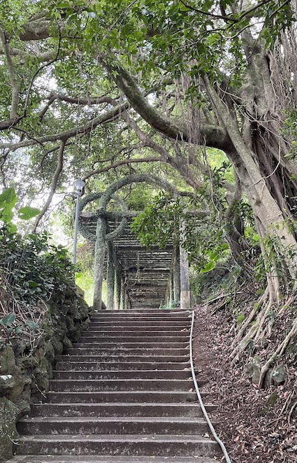 Yangmingshan Secret Hike: Ziming Creek Trail Hot Spring & "Milk" Waterfall 23 Datun Waterfall trail