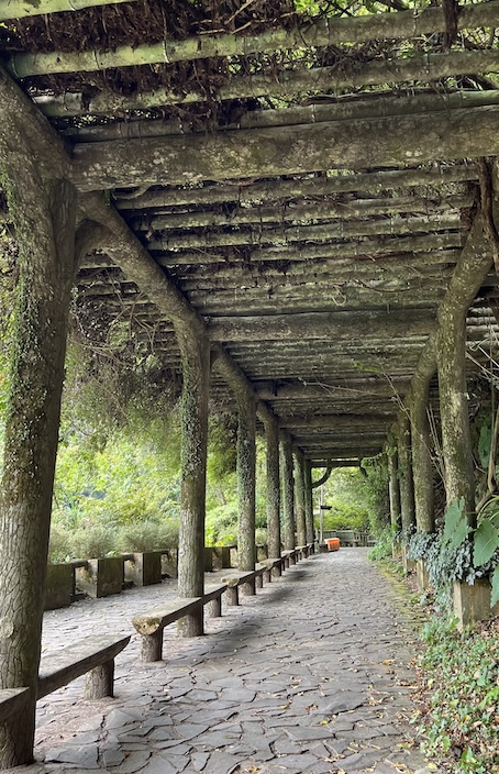 Yangmingshan Secret Hike: Ziming Creek Trail Hot Spring & "Milk" Waterfall 24 Datun Waterfall trail