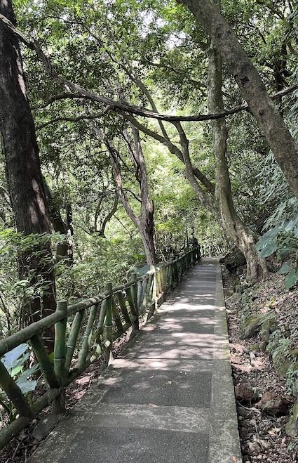 Yangmingshan Secret Hike: Ziming Creek Trail Hot Spring & "Milk" Waterfall 27 Datun Waterfall trail