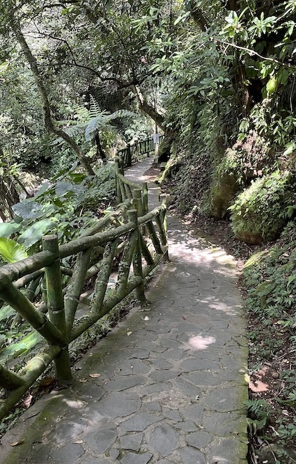 Yangmingshan Secret Hike: Ziming Creek Trail Hot Spring & "Milk" Waterfall 28 Datun Waterfall trail