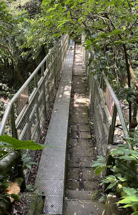 Yangmingshan Secret Hike: Ziming Creek Trail Hot Spring & "Milk" Waterfall 31 The pipe bridge in front of Datun Waterfall