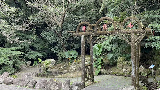 Yangmingshan Secret Hike: Ziming Creek Trail Hot Spring & "Milk" Waterfall 36 Xiaoyintan Waterfall entrance