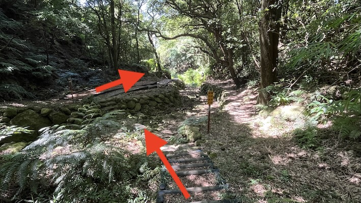 Yangmingshan Secret Hike: Ziming Creek Trail Hot Spring & "Milk" Waterfall 11 Ziming Creek Trail