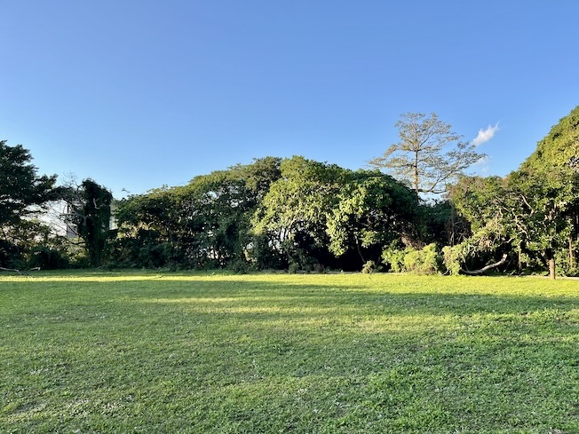 Grass area of Yuanshan Reservoir
