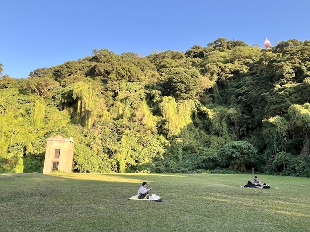 Grass area of Yuanshan Reservoir