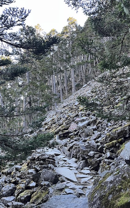 The Ultimate Xueshan (Snow Mountain) Hiking Guide: Permits, Transport & 1–3 Day Itineraries (2026 Edition) 17 boulder